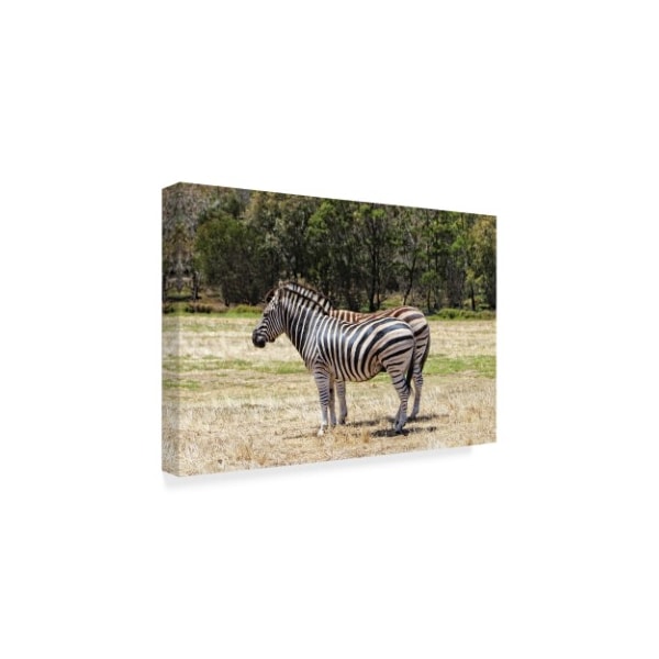 Incredi 'Zebra Standing' Canvas Art,22x32